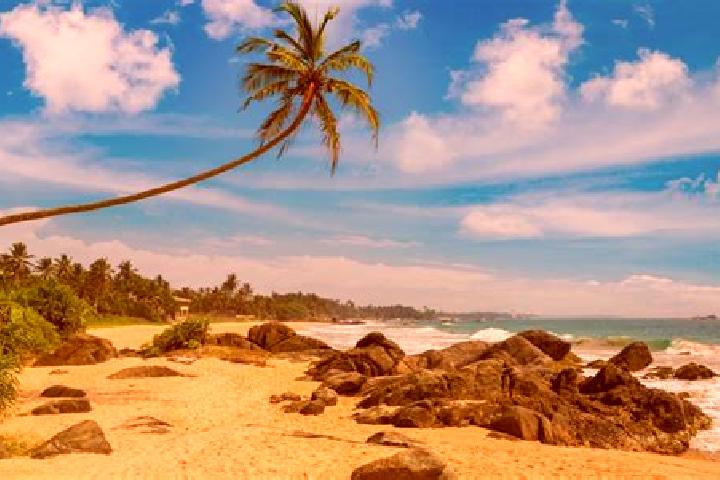 12 escort profiles in Ambalangoda, Sri Lanka. Browse companions, services, rates and book online. Incall and outcall available.