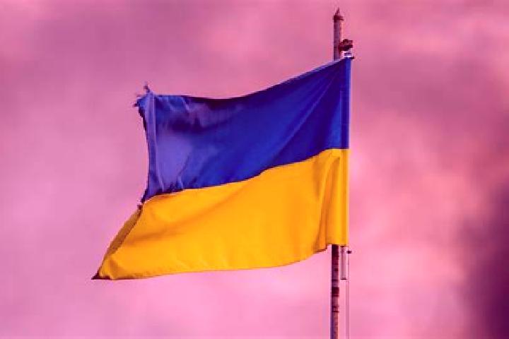 12 escort profiles in Brody, Ukraine. Browse companions, services, rates and book online. Incall and outcall available.
