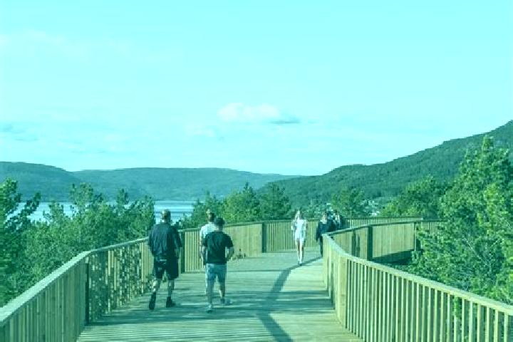 12 escort profiles in Fyresdal, Norway. Browse companions, services, rates and book online. Incall and outcall available.