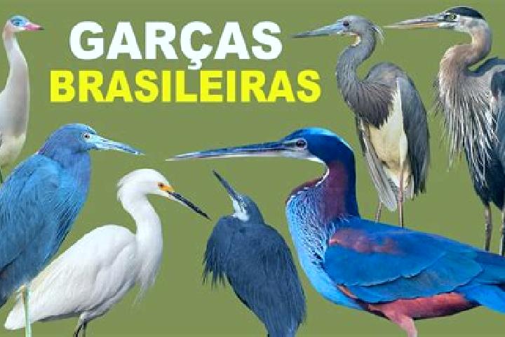 12 escort profiles in Garca de Cima, Cape Verde. Browse companions, services, rates and book online. Incall and outcall available.