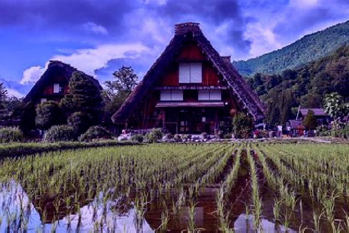12 escort profiles in Gifu, Japan. Browse companions, services, rates and book online. Incall and outcall available.
