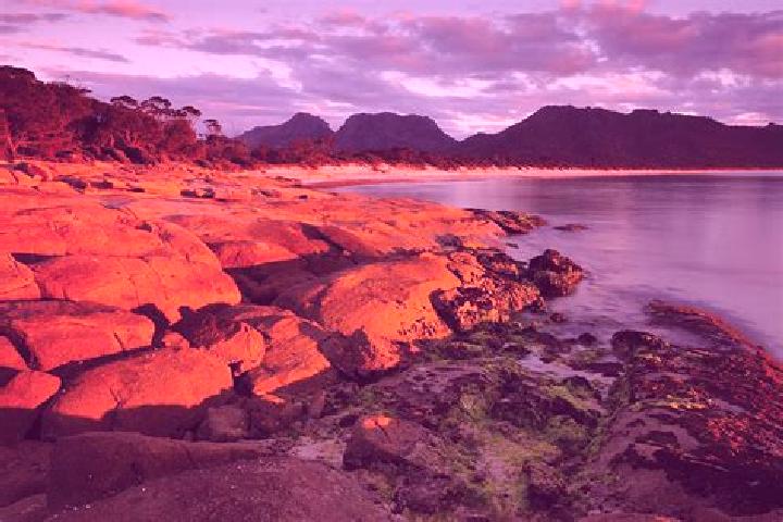 12 escort profiles in Huonville, Australia. Browse companions, services, rates and book online. Incall and outcall available.