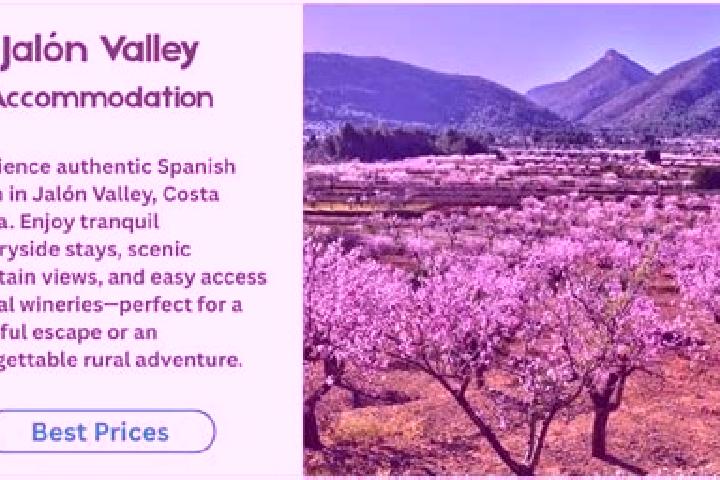 12 escort profiles in Jalon, Spain. Browse companions, services, rates and book online. Incall and outcall available.