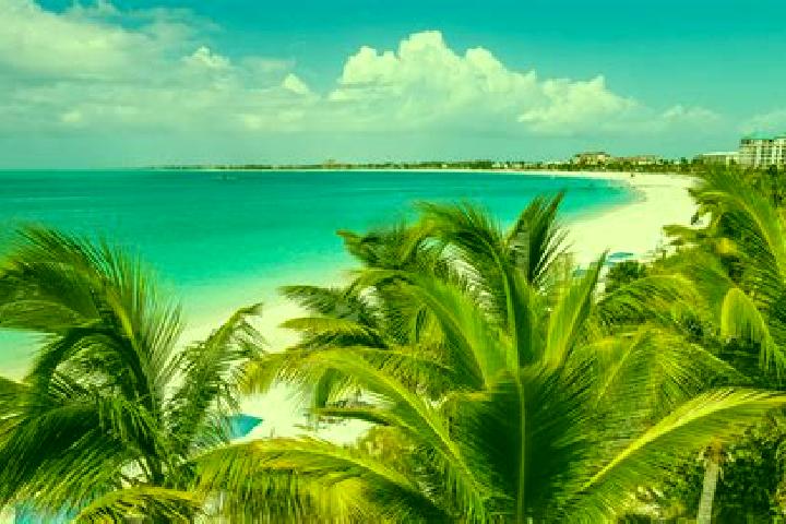 12 escort profiles in Kew, Turks and Caicos Islands. Browse companions, services, rates and book online. Incall and outcall available.