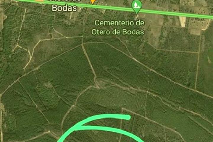 12 escort profiles in Otero de Bodas, Spain. Browse companions, services, rates and book online. Incall and outcall available.
