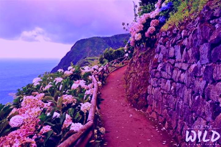12 escort profiles in Sao Miguel do Couto, Portugal. Browse companions, services, rates and book online. Incall and outcall available.