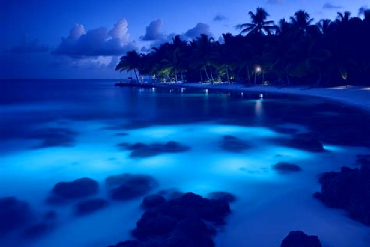 12 escort profiles in Spot Bay, Cayman Islands. Browse companions, services, rates and book online. Incall and outcall available.