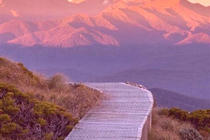 12 escort profiles in Tirau, New Zealand. Browse companions, services, rates and book online. Incall and outcall available.