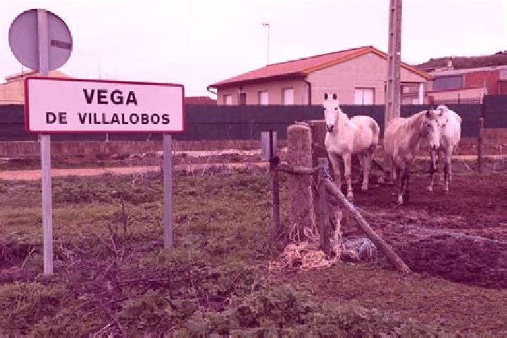 12 escort profiles in Vega de Villalobos, Spain. Browse companions, services, rates and book online. Incall and outcall available.