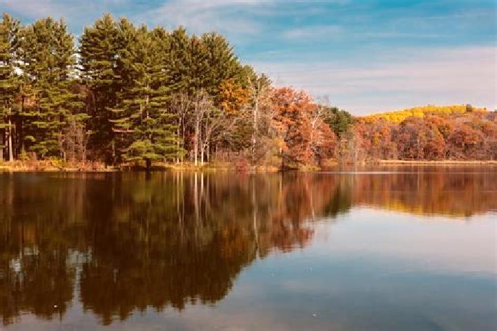 12 escort profiles in Waupaca, United States. Browse companions, services, rates and book online. Incall and outcall available.