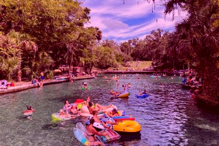 12 escort profiles in Wekiwa Springs, United States. Browse companions, services, rates and book online. Incall and outcall available.