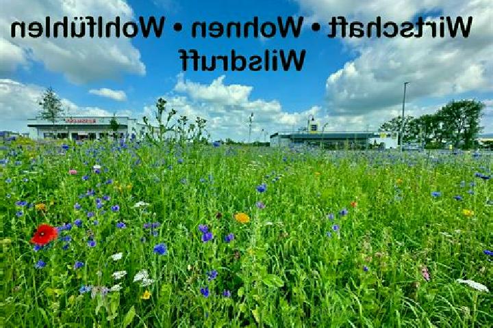 12 escort profiles in Wilsdruff, Germany. Browse companions, services, rates and book online. Incall and outcall available.