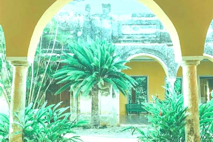 12 escort profiles in Yaxcopoil, Mexico. Browse companions, services, rates and book online. Incall and outcall available.