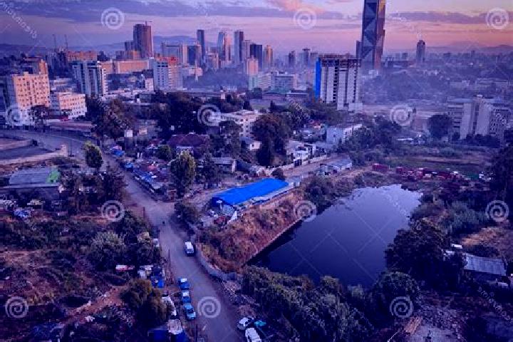 13 escort profiles in Addis, United States. Browse companions, services, rates and book online. Incall and outcall available.