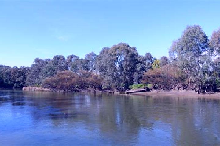 13 escort profiles in Albury, Australia. Browse companions, services, rates and book online. Incall and outcall available.