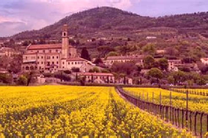 13 escort profiles in Arqua Petrarca, Italy. Browse companions, services, rates and book online. Incall and outcall available.