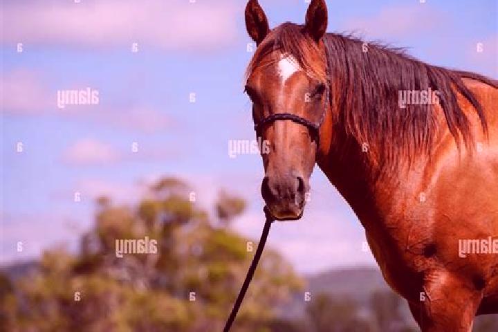 13 escort profiles in Bay Horse, United Kingdom. Browse companions, services, rates and book online. Incall and outcall available.
