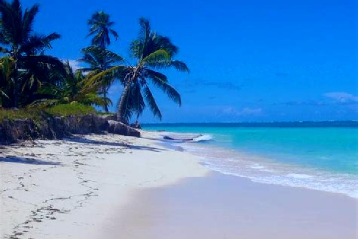 13 escort profiles in Cabeza de Tigre, Mexico. Browse companions, services, rates and book online. Incall and outcall available.