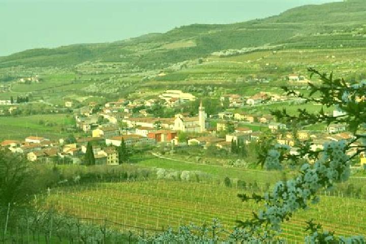 13 escort profiles in Cazzano di Tramigna, Italy. Browse companions, services, rates and book online. Incall and outcall available.
