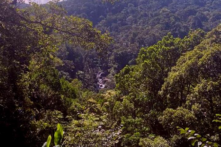 13 escort profiles in Cerro Azul, Panama. Browse companions, services, rates and book online. Incall and outcall available.
