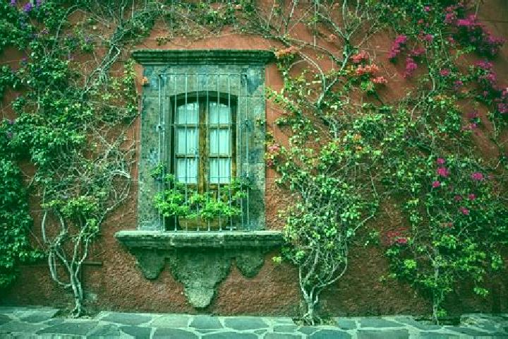13 escort profiles in Colonia San Miguel, Mexico. Browse companions, services, rates and book online. Incall and outcall available.