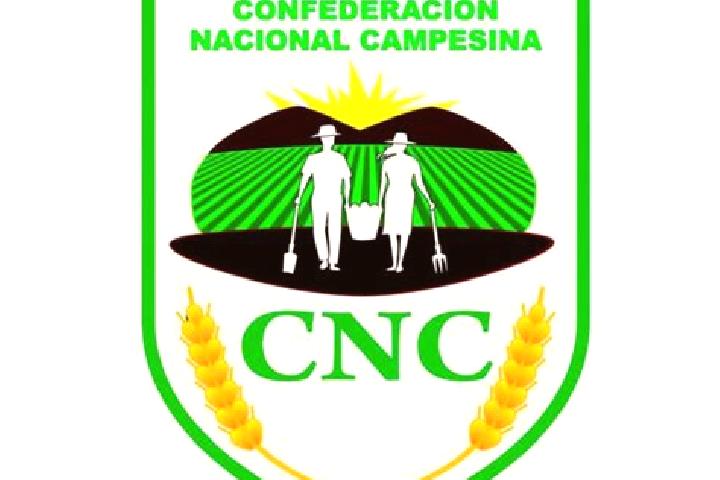 13 escort profiles in Confederacion Nacional Campesina, Mexico. Browse companions, services, rates and book online. Incall and outcall available.
