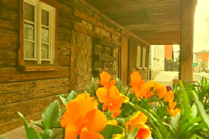 13 escort profiles in Czarny Bor, Poland. Browse companions, services, rates and book online. Incall and outcall available.