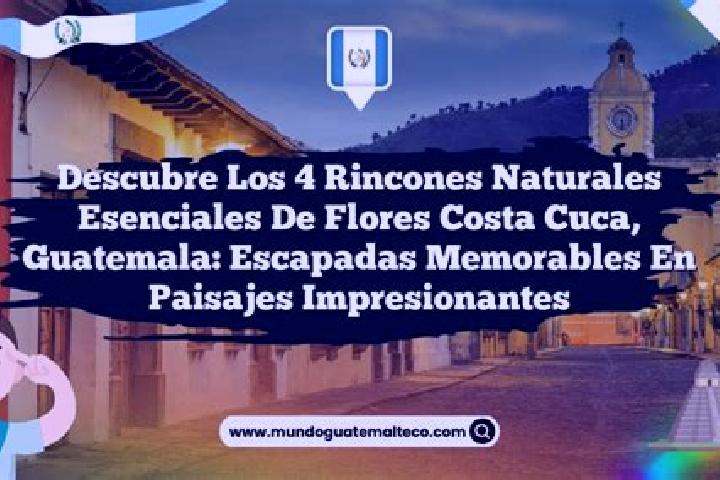 13 escort profiles in Flores Costa Cuca, Guatemala. Browse companions, services, rates and book online. Incall and outcall available.