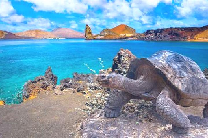 13 escort profiles in Galapagos, Spain. Browse companions, services, rates and book online. Incall and outcall available.