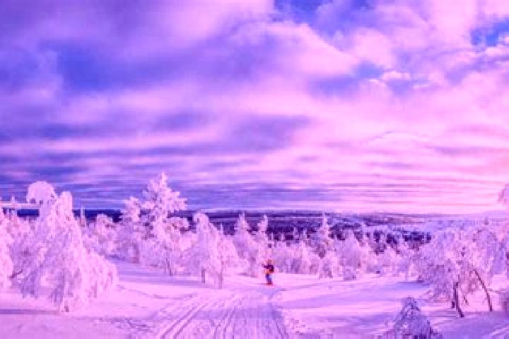 13 escort profiles in Iggesund, Sweden. Browse companions, services, rates and book online. Incall and outcall available.