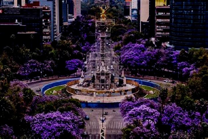 13 escort profiles in Las Jacarandas, Mexico. Browse companions, services, rates and book online. Incall and outcall available.