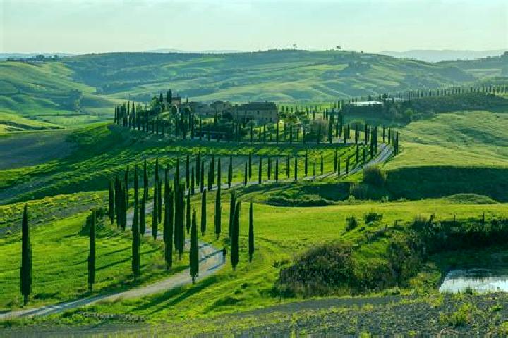 13 escort profiles in Leccio, Italy. Browse companions, services, rates and book online. Incall and outcall available.