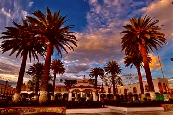 13 escort profiles in Loma Hidalgo Colonia Benito Juarez, Mexico. Browse companions, services, rates and book online. Incall and outcall available.