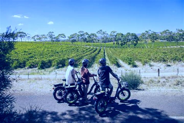 13 escort profiles in McLaren Vale, Australia. Browse companions, services, rates and book online. Incall and outcall available.