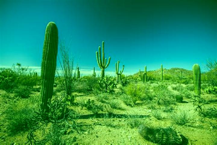 13 escort profiles in Mezquite Grande, Mexico. Browse companions, services, rates and book online. Incall and outcall available.