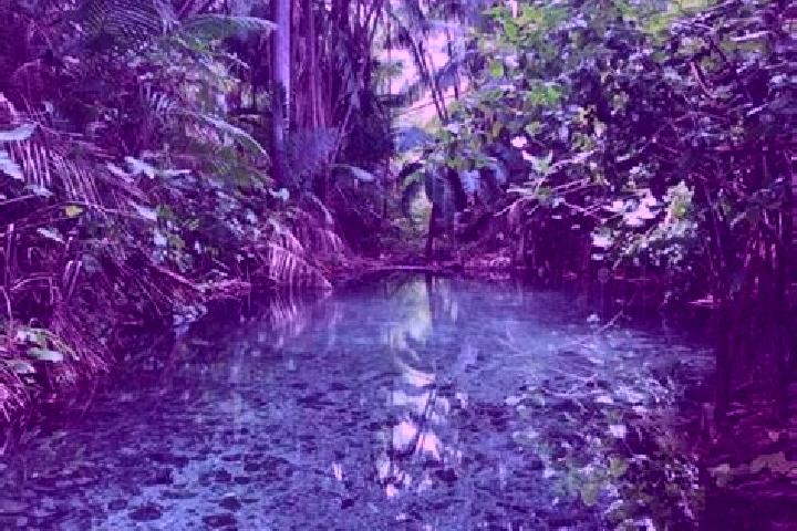 13 escort profiles in Olho d Agua do Piaui, Brazil. Browse companions, services, rates and book online. Incall and outcall available.