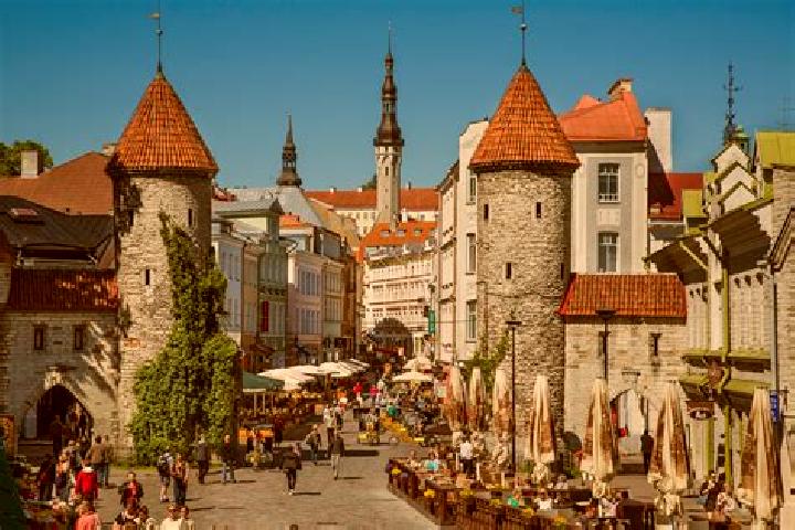 13 escort profiles in Pohja-Tallinn, Estonia. Browse companions, services, rates and book online. Incall and outcall available.