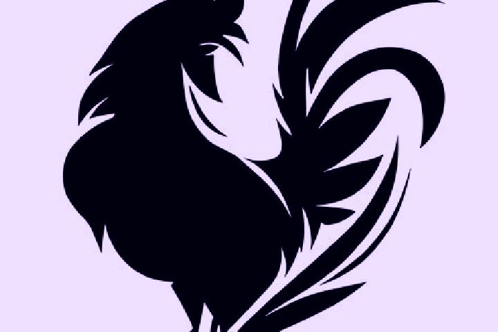 13 escort profiles in San Pedro del Gallo, Mexico. Browse companions, services, rates and book online. Incall and outcall available.