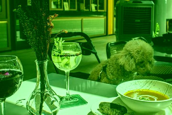 13 escort profiles in Tanglin Halt, Singapore. Browse companions, services, rates and book online. Incall and outcall available.
