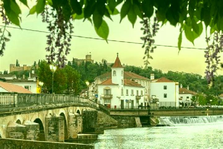 13 escort profiles in Tomar, Portugal. Browse companions, services, rates and book online. Incall and outcall available.