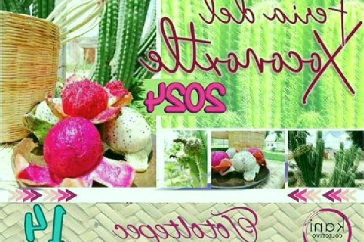 13 escort profiles in Totoltepec de Guerrero, Mexico. Browse companions, services, rates and book online. Incall and outcall available.