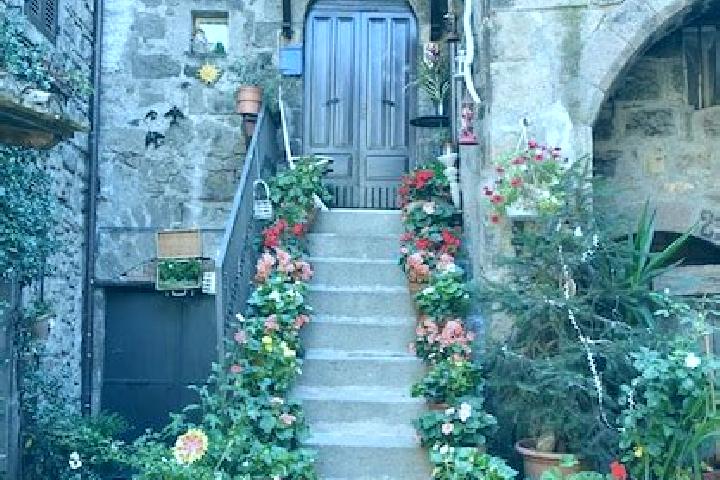 13 escort profiles in Vitorchiano, Italy. Browse companions, services, rates and book online. Incall and outcall available.