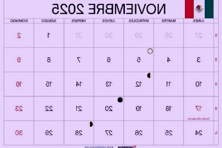 14 escort profiles in 20 de Noviembre, Mexico. Browse companions, services, rates and book online. Incall and outcall available.