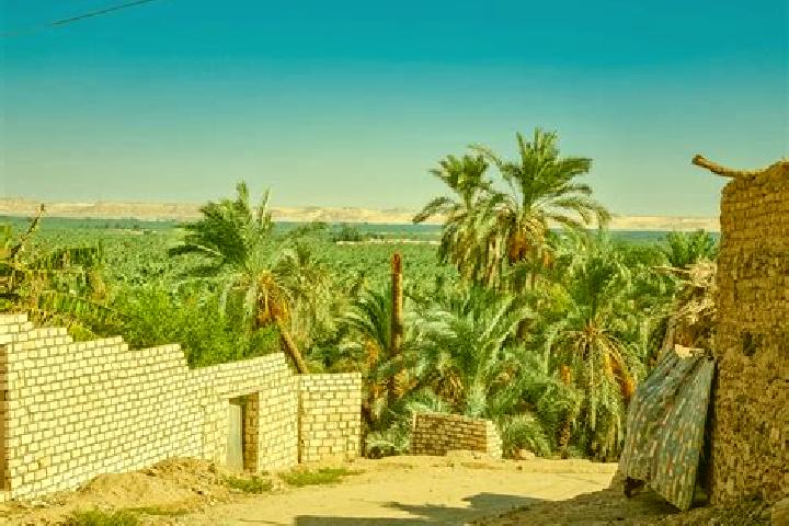 14 escort profiles in Al Bawiti, Egypt. Browse companions, services, rates and book online. Incall and outcall available.