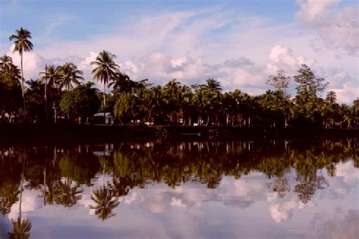 14 escort profiles in Ambunti, Papua New Guinea. Browse companions, services, rates and book online. Incall and outcall available.