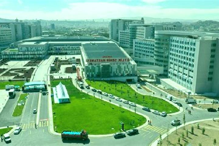 14 escort profiles in Buharkent, Turkey. Browse companions, services, rates and book online. Incall and outcall available.