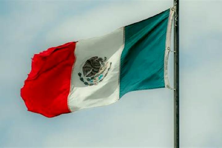 14 escort profiles in Cinco de Febrero, Mexico. Browse companions, services, rates and book online. Incall and outcall available.