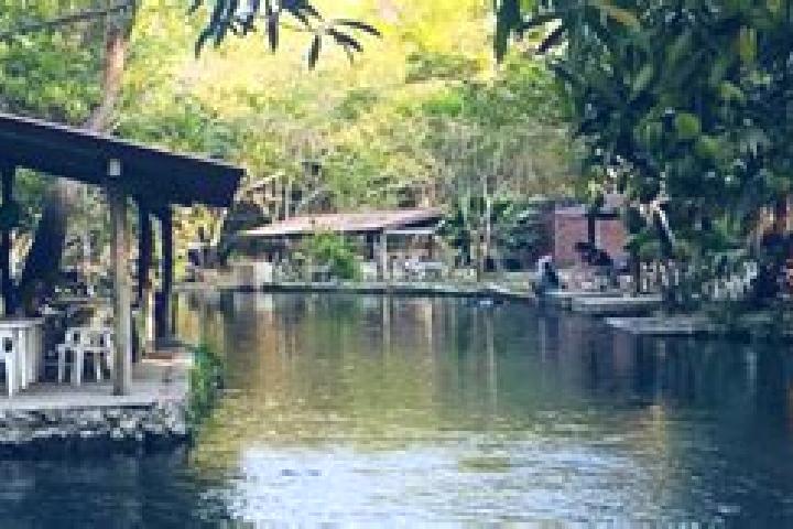 14 escort profiles in Colima, Mexico. Browse companions, services, rates and book online. Incall and outcall available.