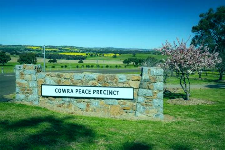 14 escort profiles in Cowra, Australia. Browse companions, services, rates and book online. Incall and outcall available.