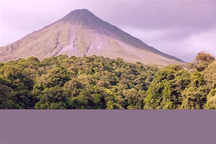 14 escort profiles in El Arenal, Mexico. Browse companions, services, rates and book online. Incall and outcall available.